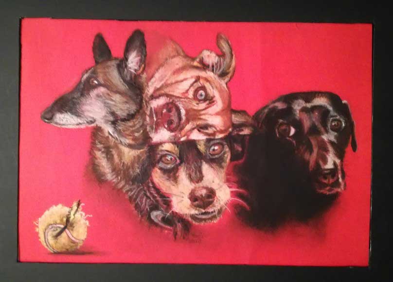 Dessin animaux Anne's dogs