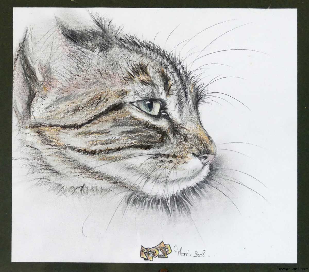 Dessin animaux au crayon Chat Pepette