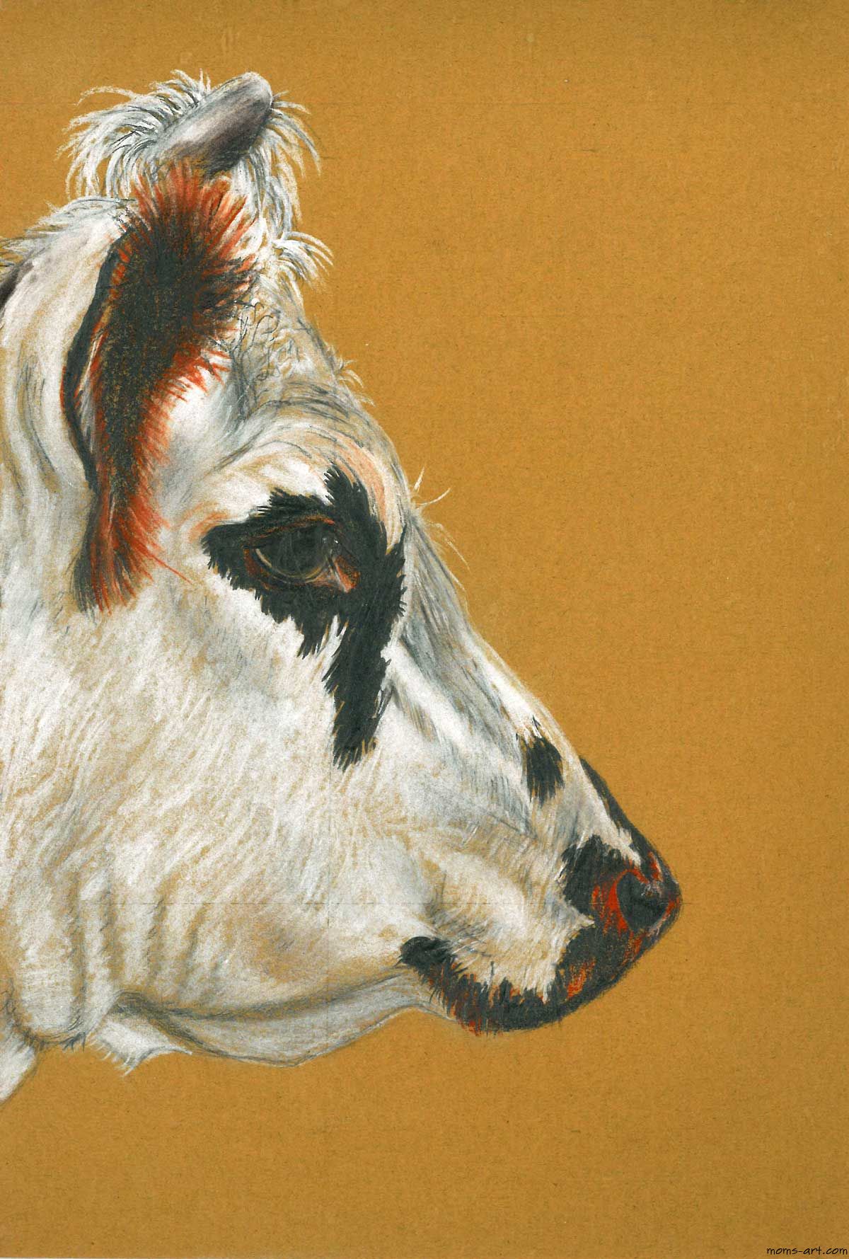 Dessin animaux au crayon de couleur Vache 