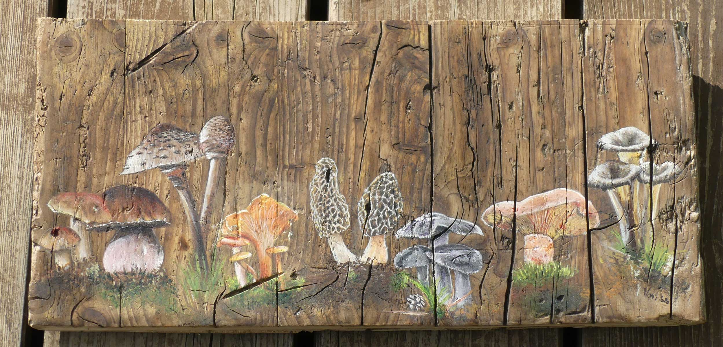 Peinture acrylique sur bois Mes champignons préférés